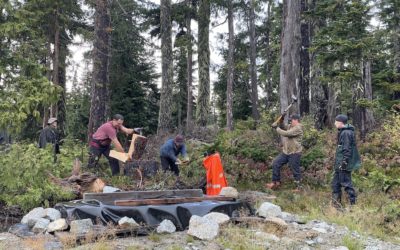 Mount Cain AGM and Work Party